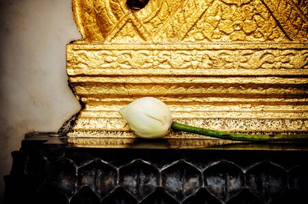 Lotus bud in temple. Bangkok, Thailandの写真素材