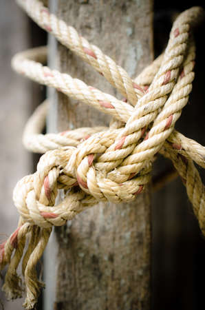 Rope And Knot On Background. Outdoor view (knot, rope, twist)