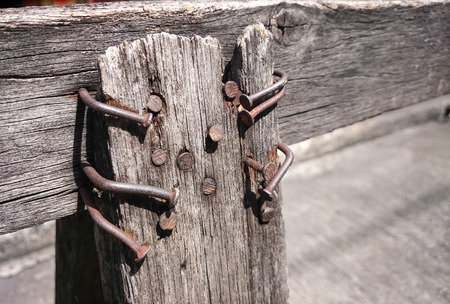 Nails in wood. Outdoor view (nail, metal, construction)の写真素材