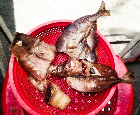 Dried fish and garlic expose to sun fish dried asia