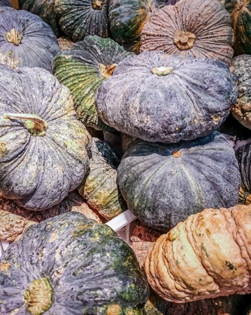 Close up of  pumpkins food  season vegetablesの写真素材