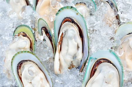 Fresh giant mussels on ice in seafood market, Thailandの写真素材