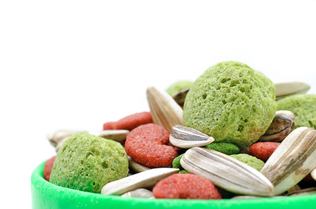 Hamster food in green tray on white background (pets, food, hamster)