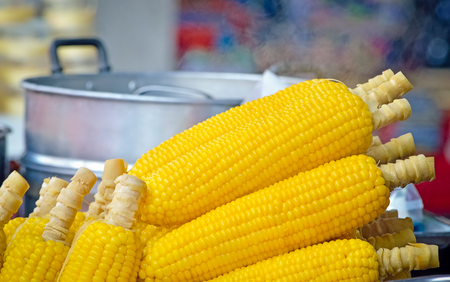 Steamed Fresh Corn, With place for your text (sweet corn, vegetables)の写真素材