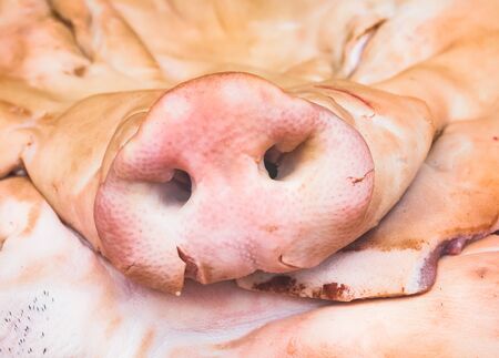 Pig head in a butchers shop, Bangkok, Thailand