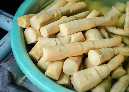 Boiled bamboo shoots, Use in thai food munuの写真素材
