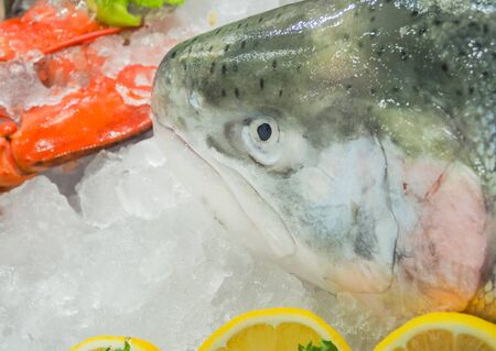 Fresh salmon on ice sell in supermarket, With place your text
