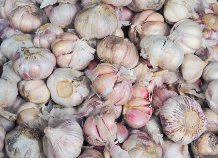 fresh garlic at the local farmers marketの写真素材