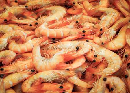 Selective focus and Close up of boiled shrimps / Food backgroundの写真素材