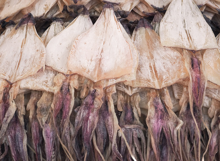 Dried squid for grilled squid, Food backgroundの写真素材