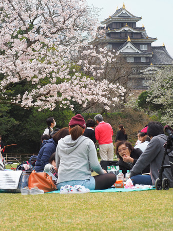 Korakuen Garden, Okayama, Japan - April 8, 2017 : Japanese enjoying Cherry blossoms festival in park. Hanami is Japanese tradition of welcoming spring.のeditorial素材