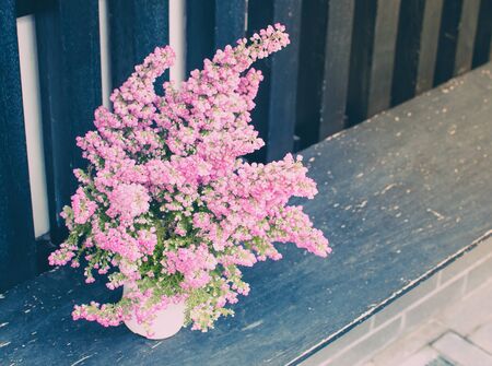 Beautiful pink flowers on the terrace. With place your textの写真素材