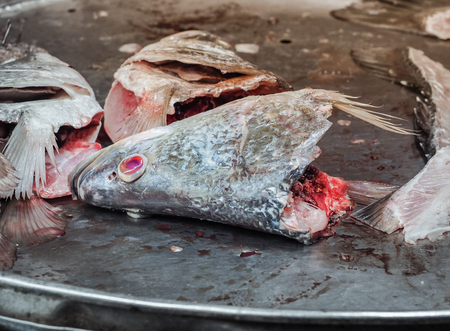 Fresh fish head with Dripping blood for sale on the seafood market.