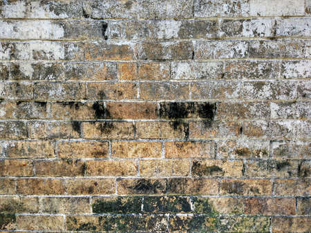 Old brick wall textured and background. Abstract image
