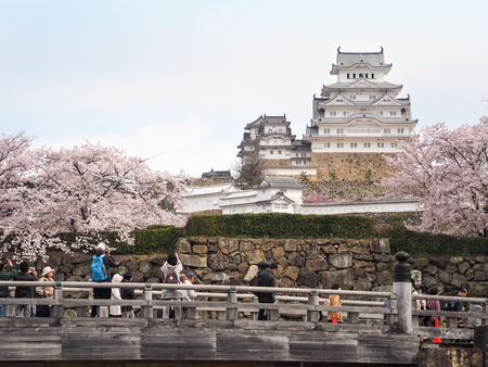Himeji, Japan - April 10, 2017 : On the day of cherry blossoms in full bloom at Himeji-Jo Castle, In the first week of April every year is the time of cherry blossom viewing season.のeditorial素材