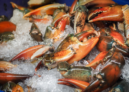 Raw sea crab claws on ice for sale in seafood market. Thailand.の写真素材