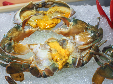 Fresh sea crab eggs sold on ice in a seafood market.の写真素材