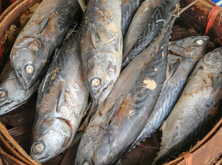 Thai mackerel fish steamed sole in market. Thai tuna fish steamed are the popular fish thai seafood.の写真素材