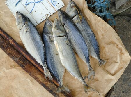 Thai mackerel fish steamed sole in market. Thai tuna fish steamed are the popular fish thai seafood.の写真素材