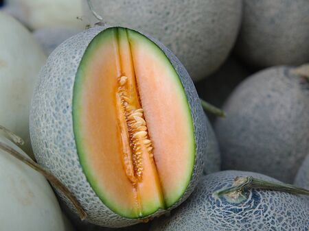 Fresh orange melon or cantaloupe melon for sale on farm market.