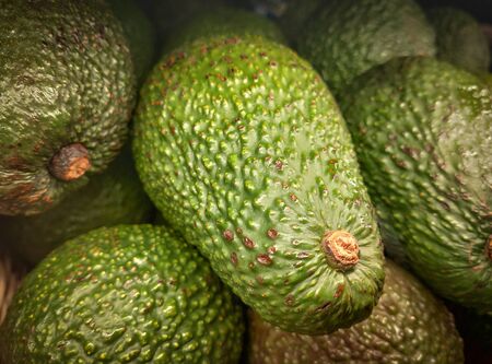 Fresh green avocados or Persea Americana ready for sale. Tropical avocados fruits on market stall.