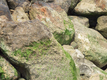 Beautiful green moss covered on the rock at sandy beach. Mossy stones texture.