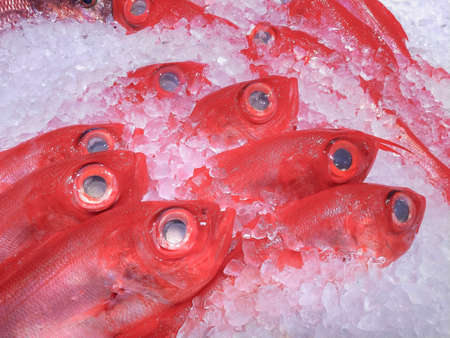 Big red-eyed mackerel or Kinmedai fish frozen in ice  sold in the seafood market.の写真素材