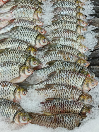 Fresh fish laid out on ice trays and ready for sale at the seafood market.