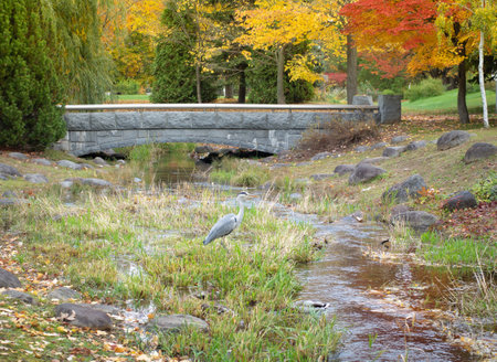 Beautiful scenery during the autumn leaves season in Nakajima Park. Sapporo, Hakkaido, Japan.の写真素材