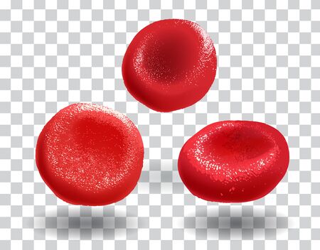 The 3D red blood cell samples are illustrated for educational purposes. vectorのイラスト素材