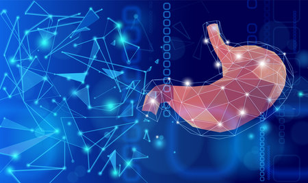 Stomach illustration showing connections using lines and triangles for a modern and technologically advanced look.の写真素材