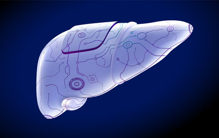 3D illustration of human liver organ in mechanical form on dark blue background presents the future human organ. It is used in medicine, education, science, advertising and industry.の写真素材
