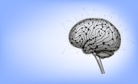 A modern technological illustration of the human brain using curves and straight lines arranged on a...
