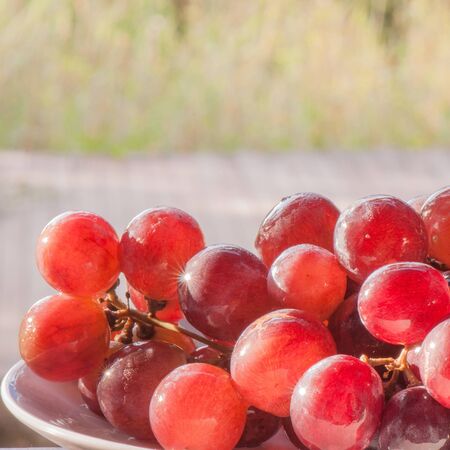 grape
