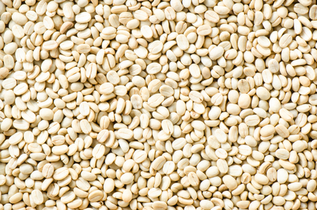 Arabica coffee background