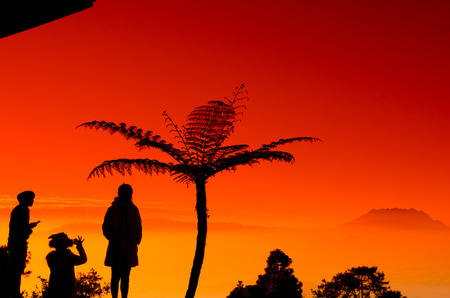 Tourists are shooting the silhouette and sunsetの写真素材