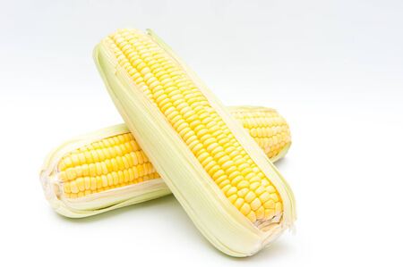 Corn isolatedの写真素材