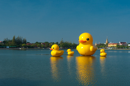 Family duck at the lakeの写真素材
