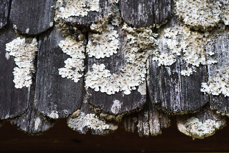 Old wooden shingle roofの写真素材
