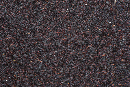 Premium Rice berry texturedの写真素材