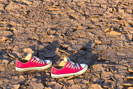 Pink shoes on the dried landの写真素材