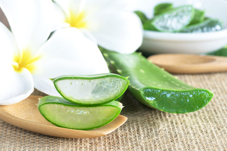 Aloe Vera use in spa for skin careの写真素材