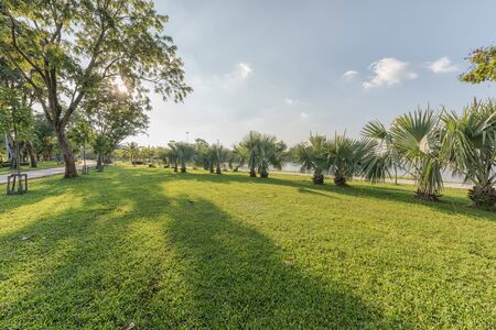 Beautiful morning light in public parkの写真素材