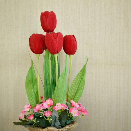Red tulips in Home Decorの写真素材