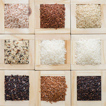 Nine Collection of Thai's premium rice backgroundの写真素材