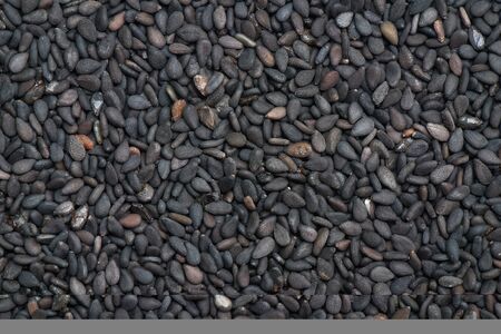 Black sesame organic for baclgroundの写真素材