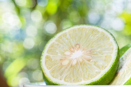 Prepared lime slice for cooking, Closeup lime slice or cross section