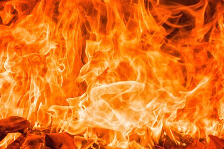 Blazing fire flame backgroundの写真素材