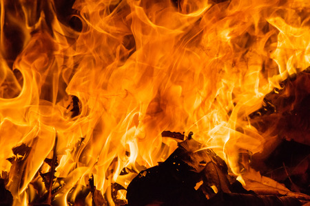 Blaze fire flame background and texturedの写真素材