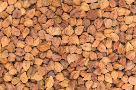 Dried chick pea backgroundの写真素材
